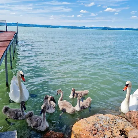 Сasa de vacaciones Flamingó *