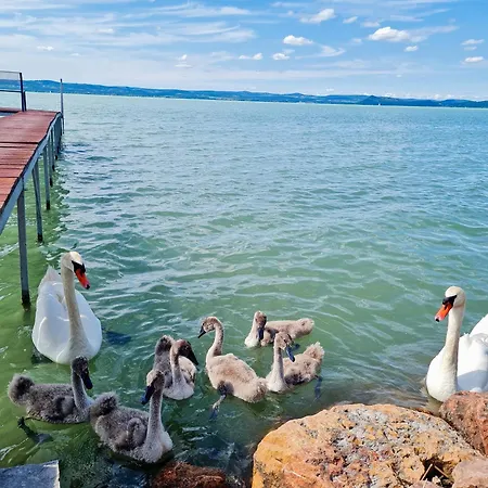 Hébergement de vacances Flamingo *