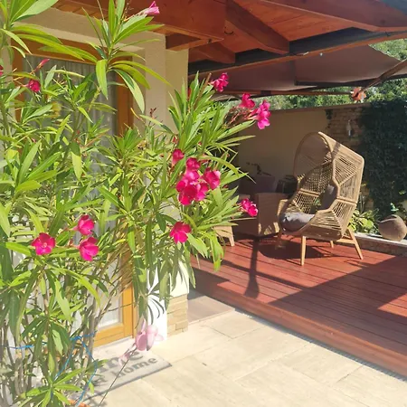 Flamingo Balatonszarszo